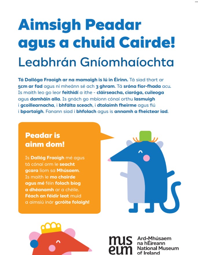new-brand-Snip-Peadar-Irish.jpg