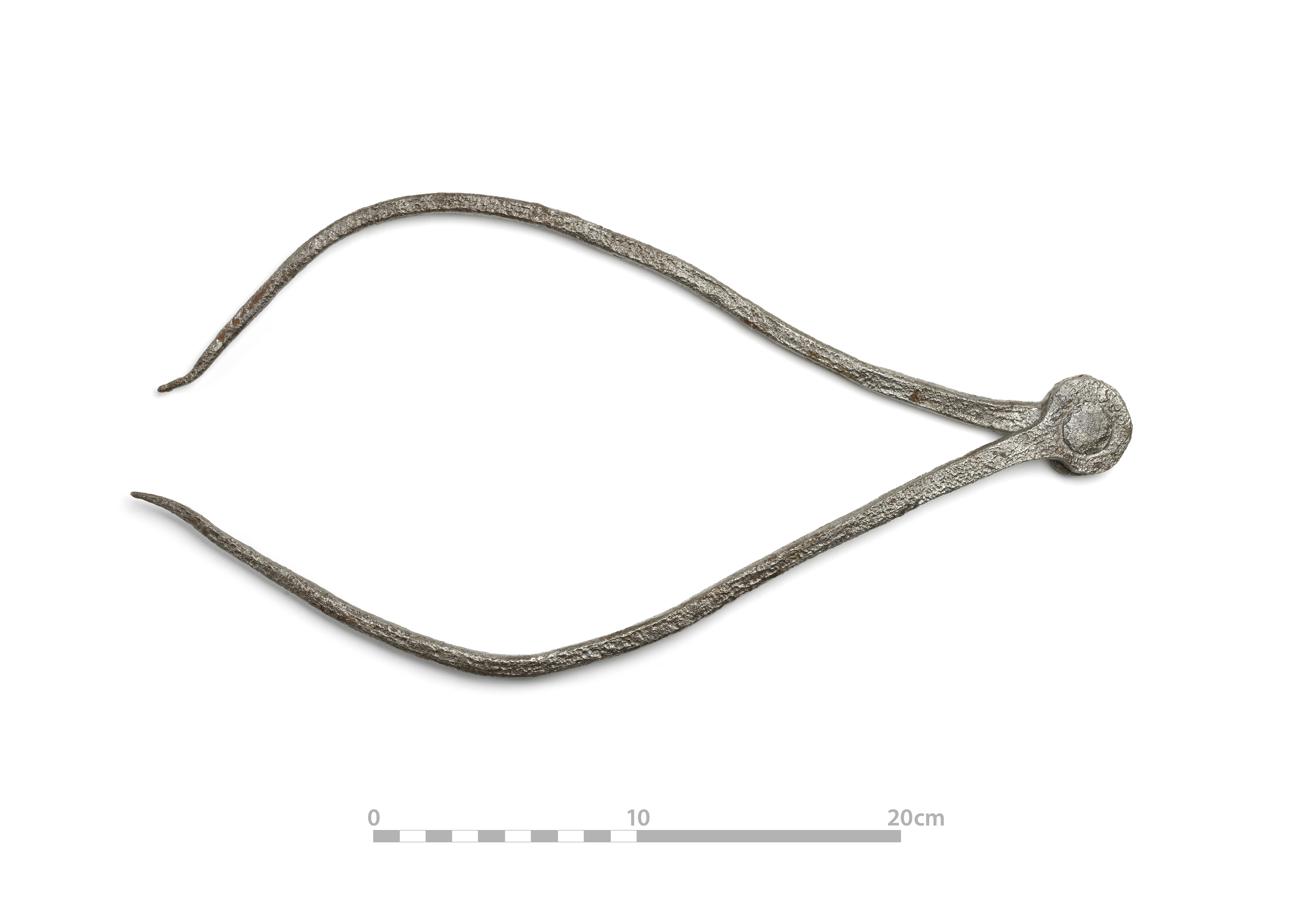 Cailpéir na rothadóra